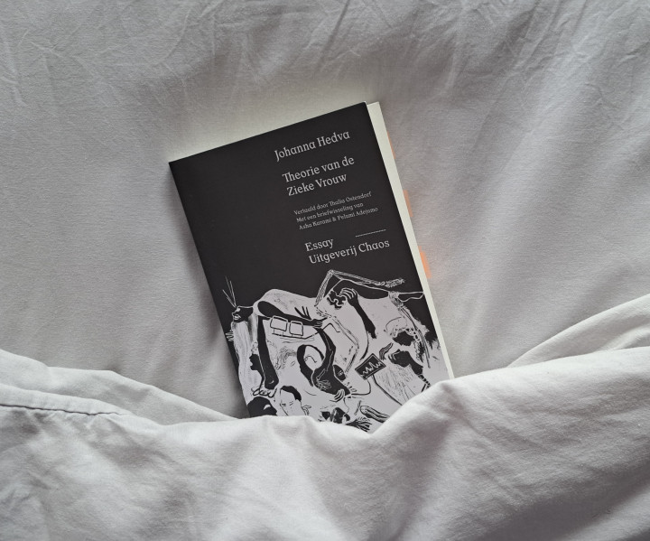 Recensie: Hedva’s anti-kapitalistische antiheld, de Zieke Vrouw