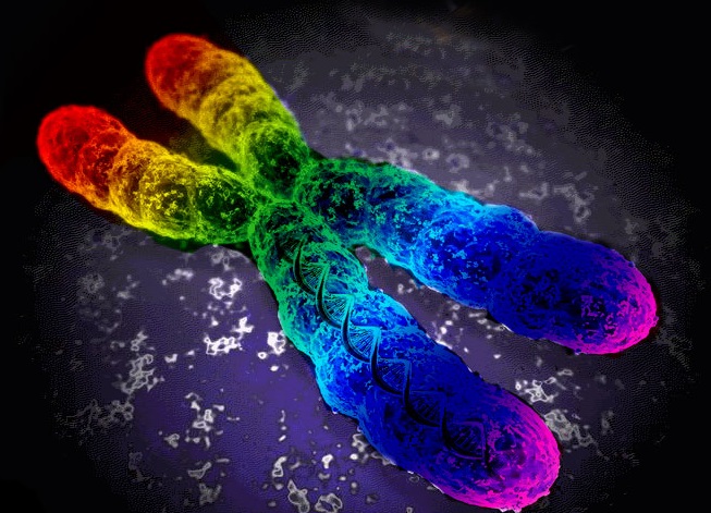 Uitgelicht: Gay Genes - ja of nee of waarom eigenlijk?