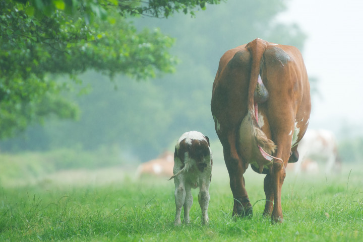 Boer zoekt Vrouw bewijst: we meten met verschillende maten tussen de seksen