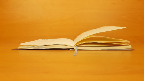 Recensie: De erfenis van een getint meisje van Sjo Velland